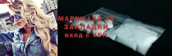 стафф Струнино