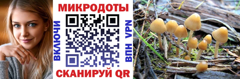 Галлюциногенные грибы мицелий что такое Гаврилов-Ям
